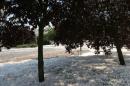 place des anges 10 * 3504 x 2336 * (3.77MB)